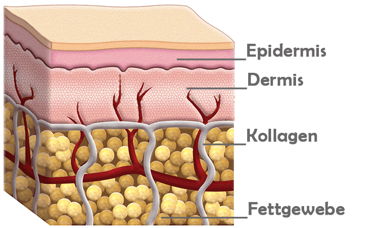 Radiofrequenz in allen Hautschichten